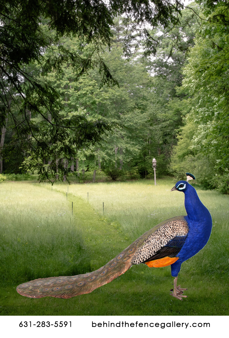 Male Peacock Statue Male Peacock Statue