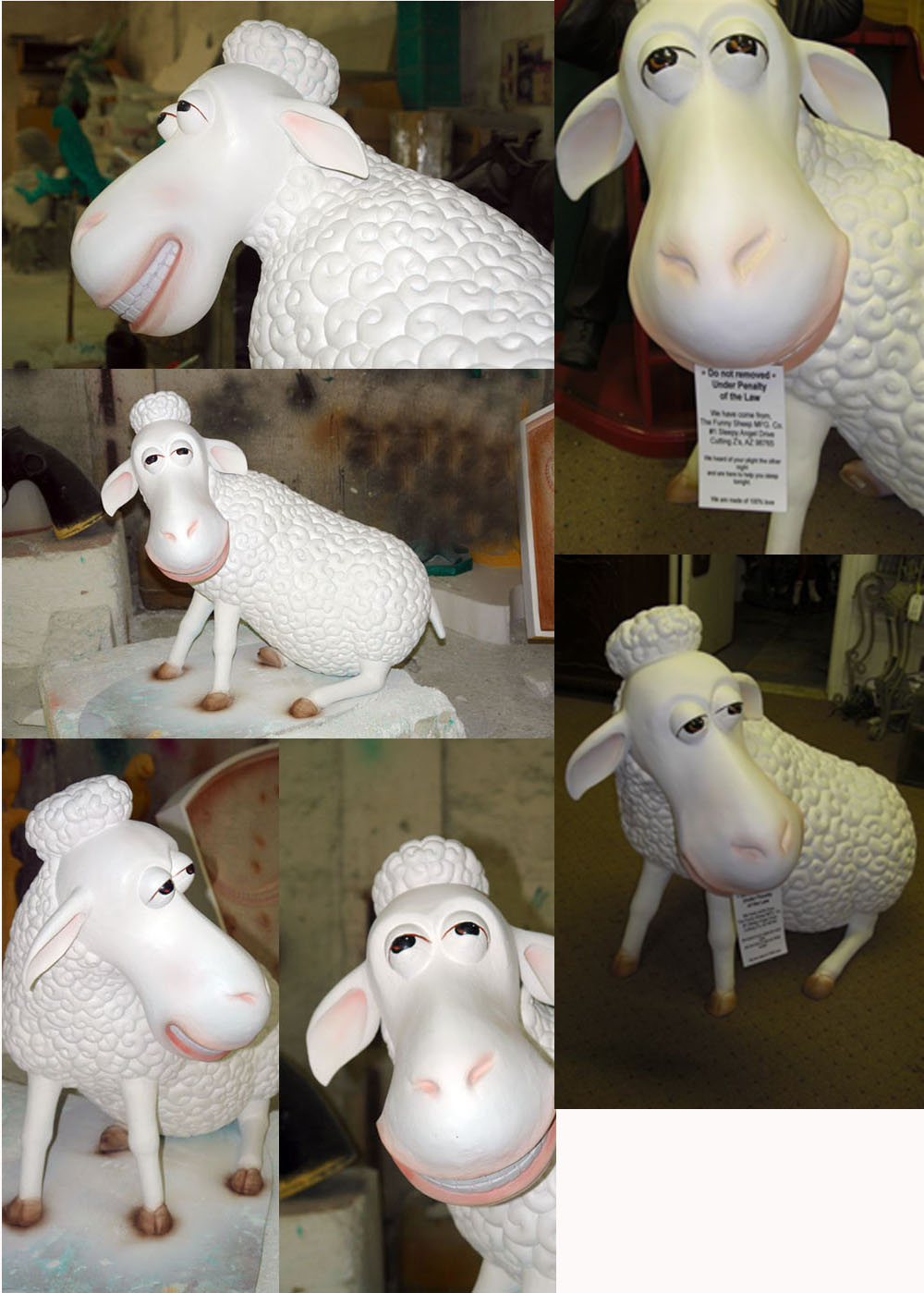 Sitting Counting Sheep Sitting Counting Sheep